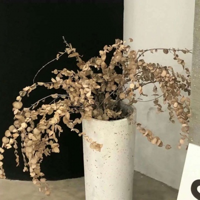 兽设色彩渐变技巧兽圈群